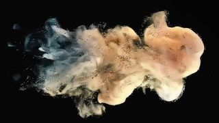 Poudre de développement Toshiba D5070 500g pour e-STUDIO